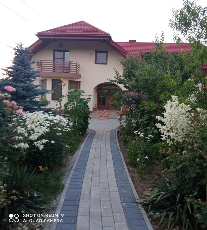 Agropensiunea Florina-Maria Branistea (Bistrita-Nasaud) Exterior foto