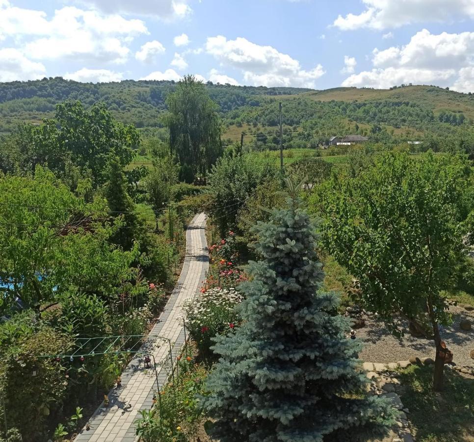 Agropensiunea Florina-Maria Branistea (Bistrita-Nasaud) Exterior foto